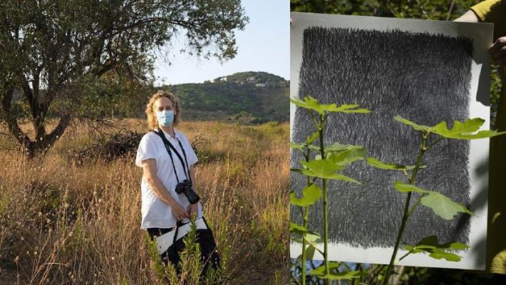 Taller ‘Cacera d’ombres, un joc de desconfinament’