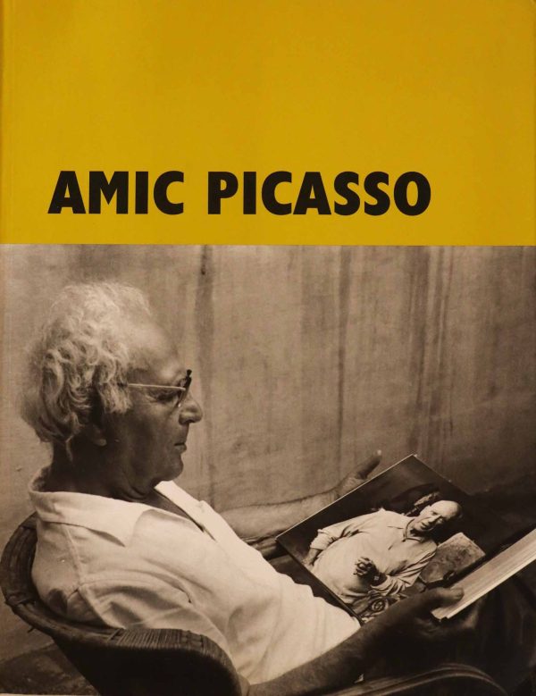 AMIC PICASSO AMIC PICASSO