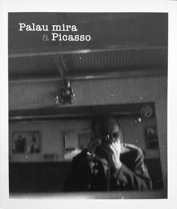 Palau mira a picasso