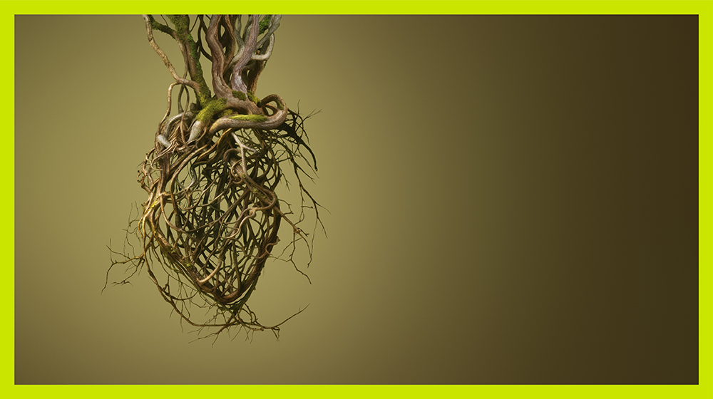 Tres peces de la Fundació a l’exposició ‘Rodoreda: un bosc’ al CCCB